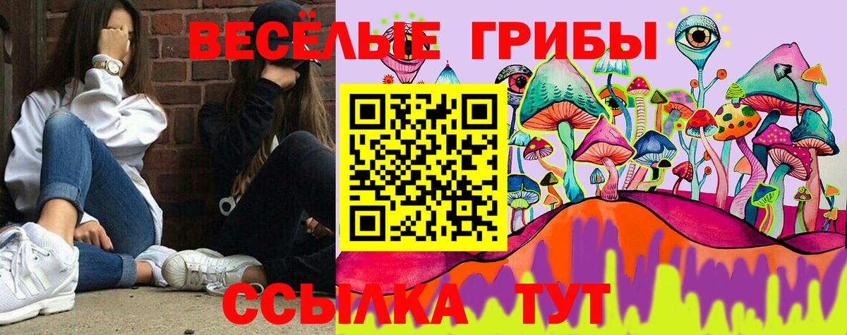 Ачинск  Галлюциногенные грибы Psilocybe  Галлюциногенные грибы мицелий  Вход с VPN 