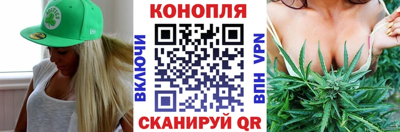 Бошки марихуана Amnesia  купить наркотики сайты  Ачинск 
