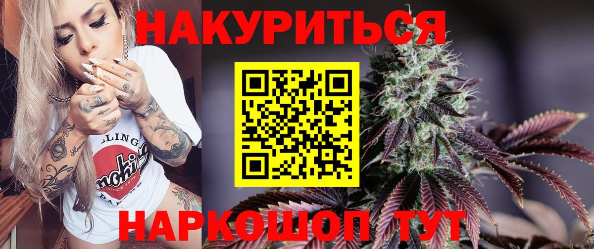 Конопля сатива Ачинск